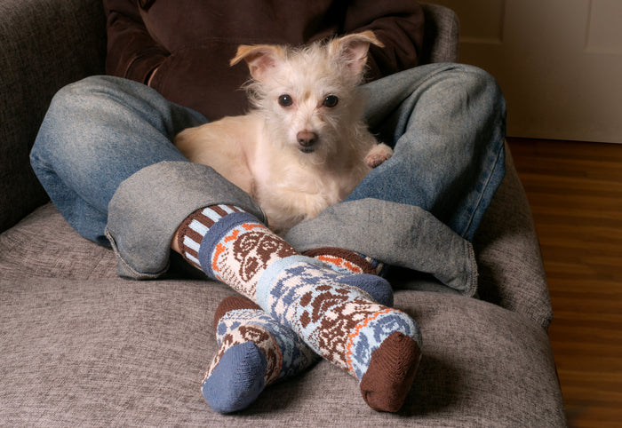 Dog Crew Socks with cosy mismatched knit patterns and a small white dog