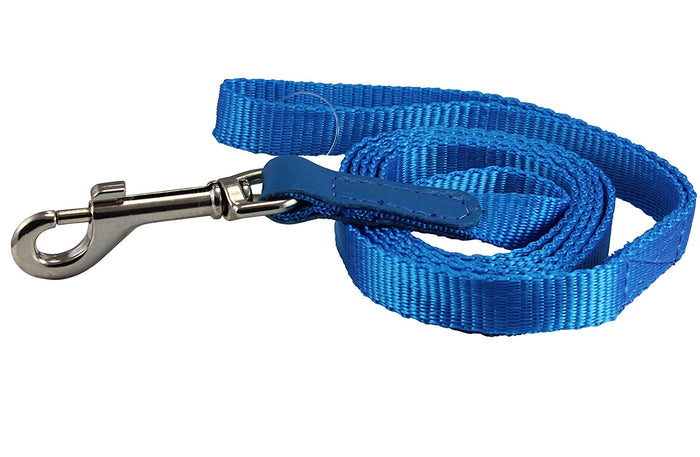 Dog Leash 1/2" Wide Nylon 5ft Length with Leather Enforced Snap Blue Small