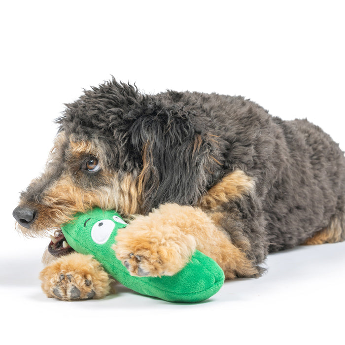 Fetchies® Dell Pickle