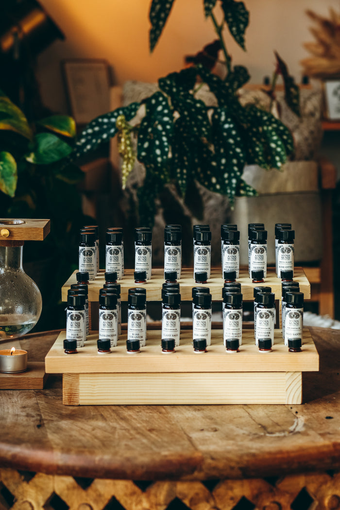 HELICHRYSUM Essential Oil | Sustainably Cultivated, Corsican