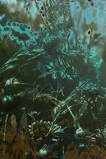 Into The Garden Deep IV