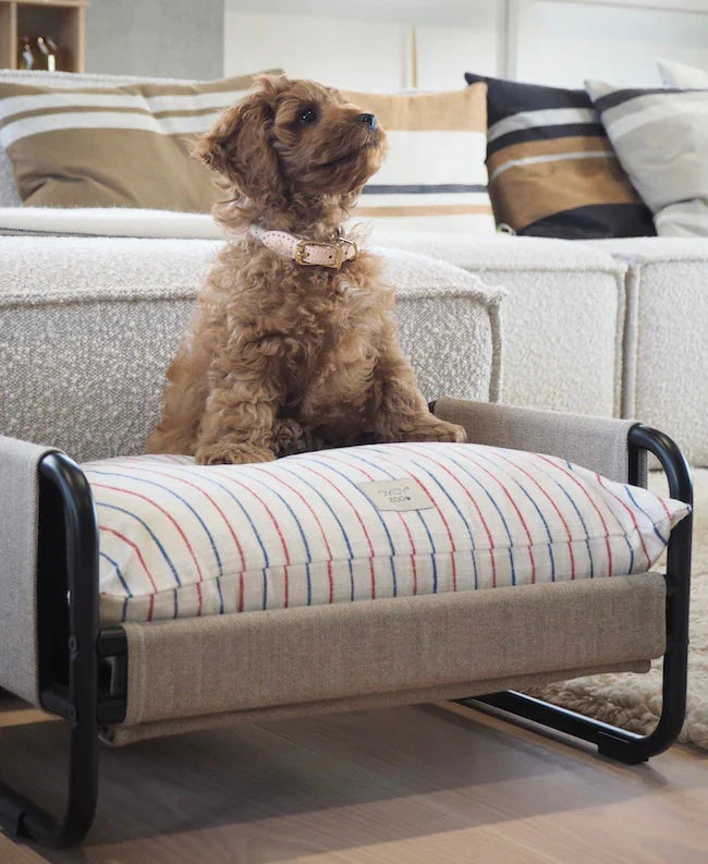 Milo Dog Bed | Small