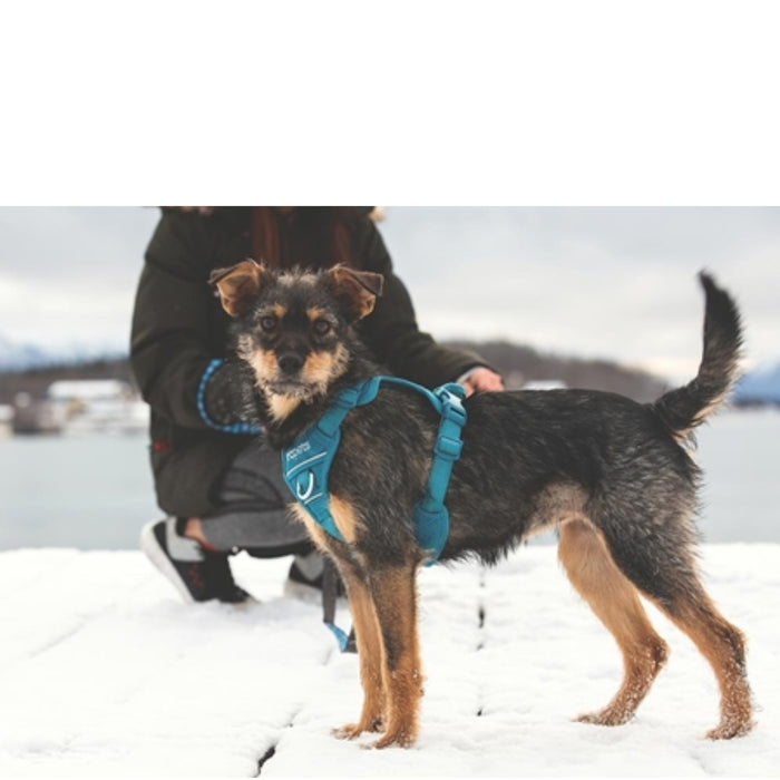 Momentum Control Harness - Dark Teal