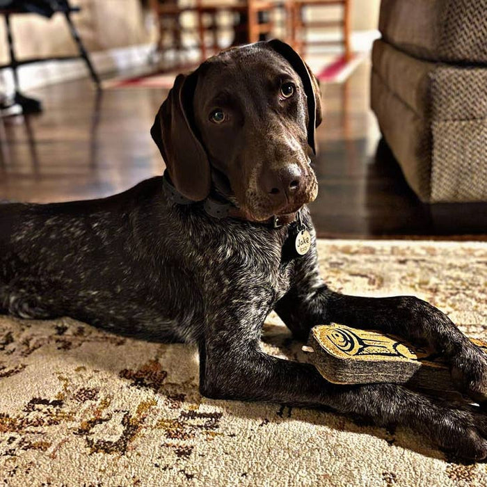 Natural Leather & Wool Love My Dog Log Toy