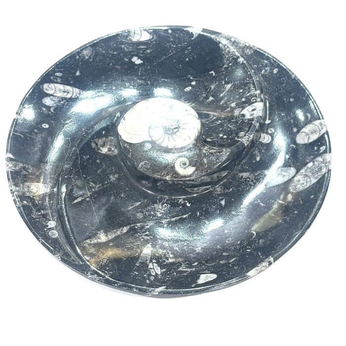 Large circle plate (8'' dia.)
