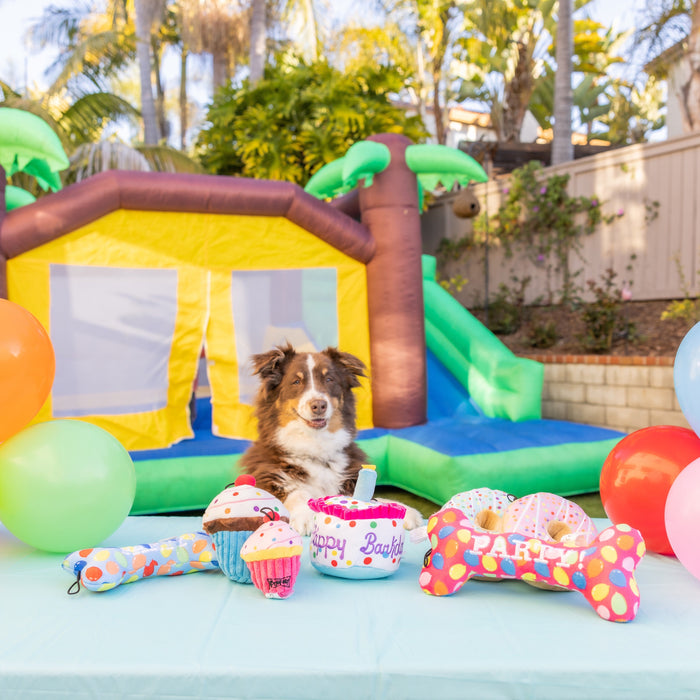 Dog with Party Time Bone.