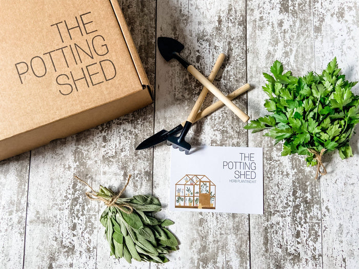 SALE - Indoor Herb Growing Kit