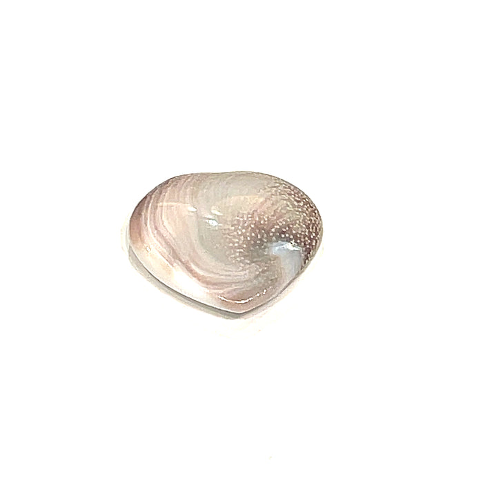 A Shiva shell gemstone heart-shaped crystal on a white background, back view.
