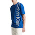Blue Herald Swatch