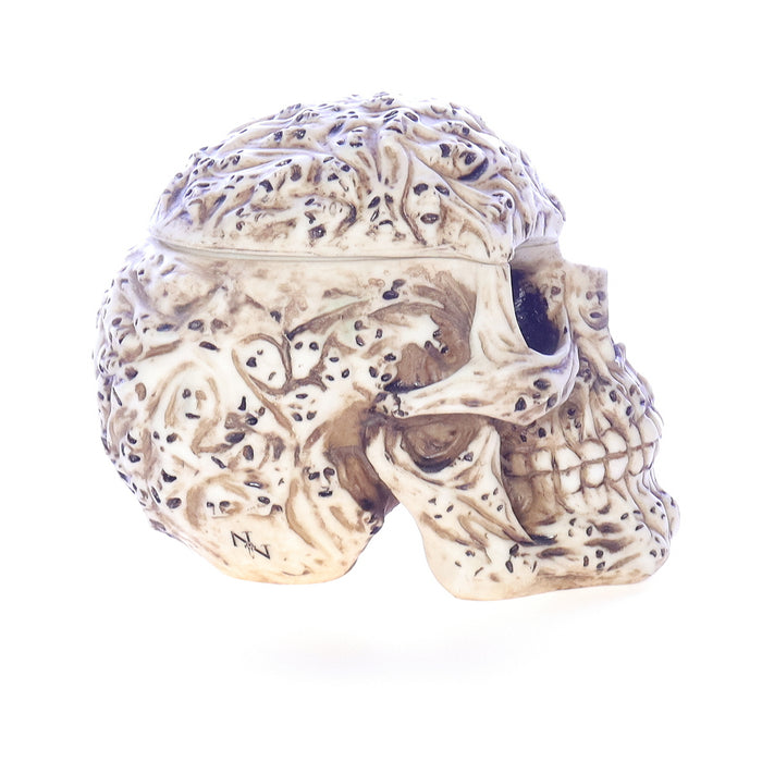 Fantasy_Art_Collection_8090_Spirit_Ghost_Print_Skull_Halloween_Figurine Front Right View