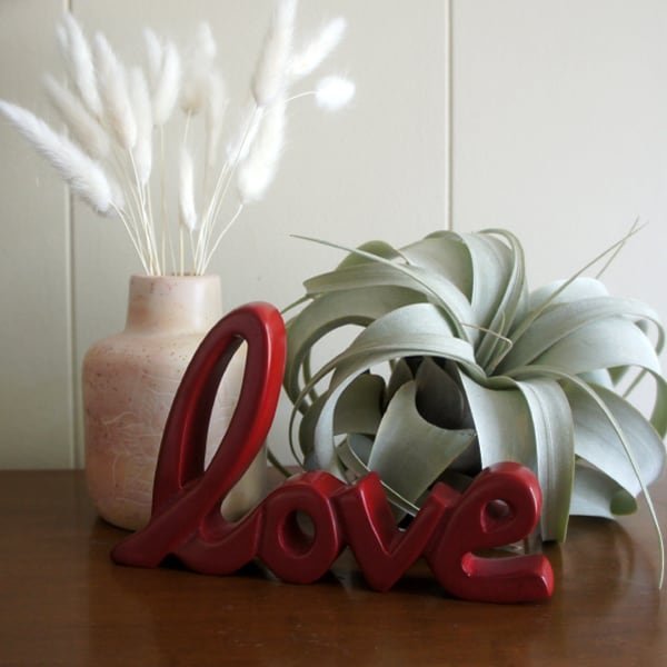 Standing Soapstone Words