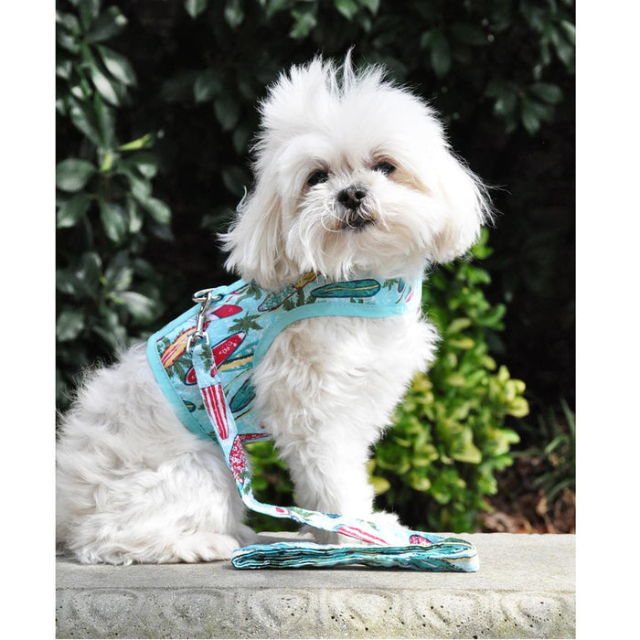 Surfboards & Palms Vest Harness & Leash