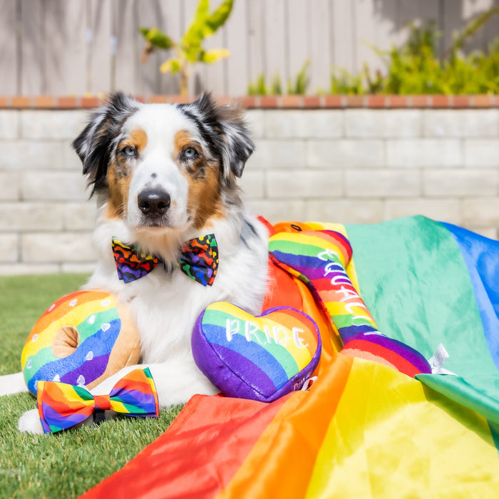 Unity Bow Tie