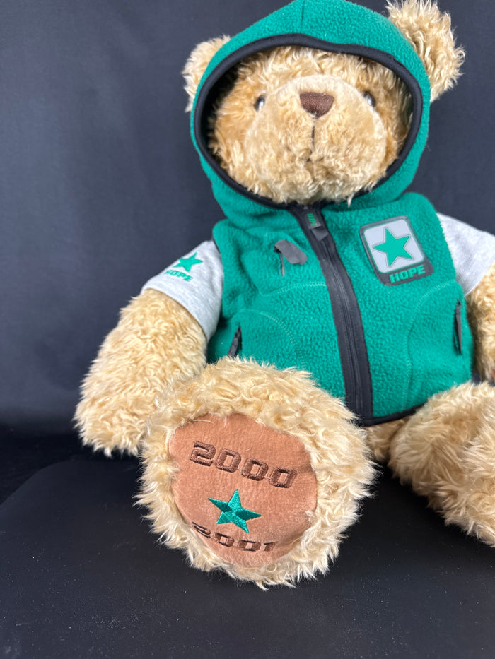 VTG Gund Hope Plush Bear 2000 Limited Edition1
