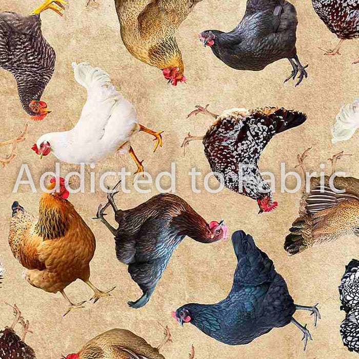 18" x 44" Tossed Hens Fabric by Timeless Treasures, Chickens on Natural, EOB