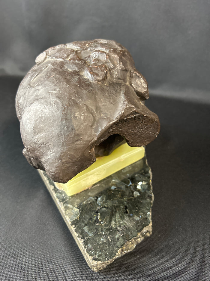 Alva Museum Replica Brancusi Sleeping Baby Head