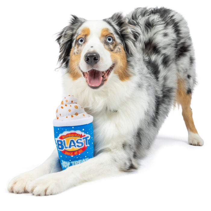 Dog with blue Arctic Blast treat plush toy featuring Arctic Blast Treat (Double Sided).