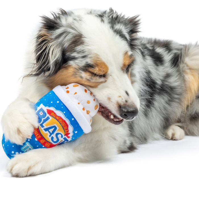 Dog with an Arctic Blast treat plush toy featuring Arctic Blast Treat (Double Sided).