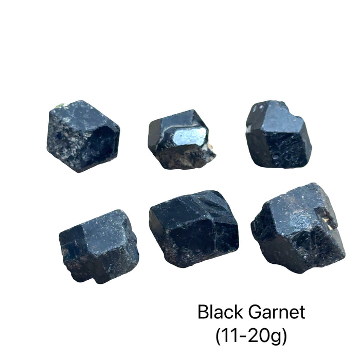 Six Raw black garnet crystal clusters. Black garnet raw specimen without matrix showing dodecahedral crystal formation for strength, resilience, and energetic protection on a white background, front view (11-20g).
