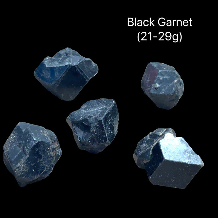 Five Raw black garnet crystal clusters. Black garnet raw specimen without matrix showing dodecahedral crystal formation for strength, resilience, and energetic protection on a black background, front view (21-29g).