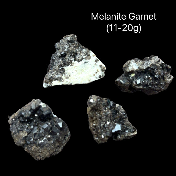 Four Raw black garnet crystal cluster in natural matrix (11-20g) for root chakra grounding psychic protection and courage with earth and fire energy on a black background, front view.