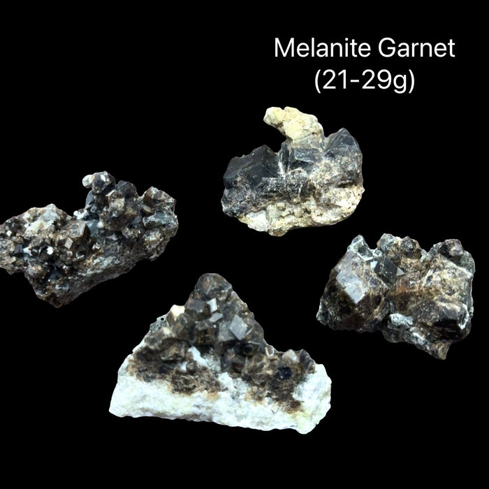 Four Raw black garnet crystal cluster in natural matrix (21-29g) for root chakra grounding psychic protection and courage with earth and fire energy on a black background, front view.