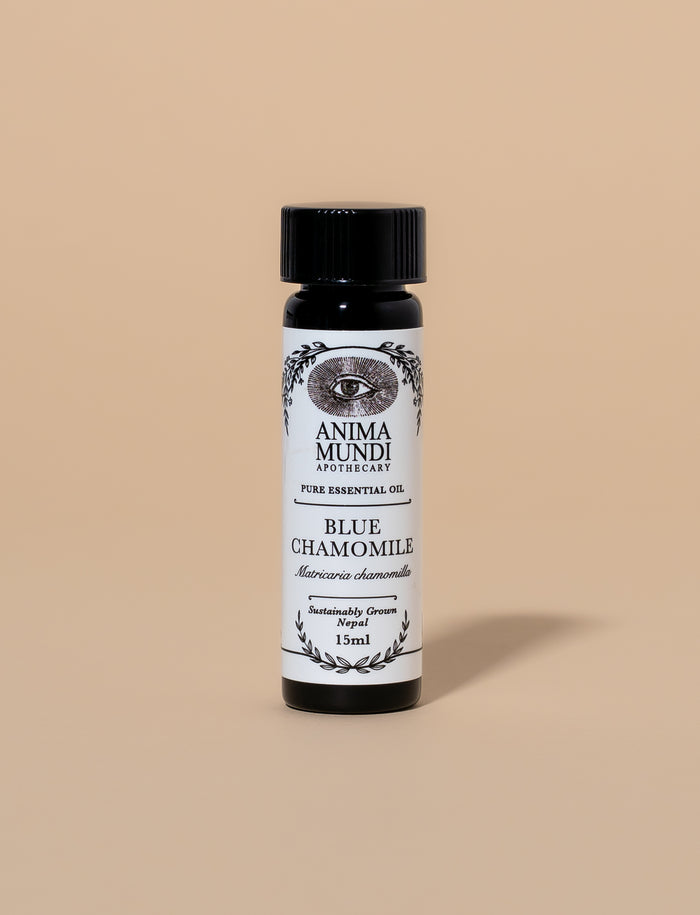 BLUE CHAMOMILE Essential Oil | Sustainably Cultivated
