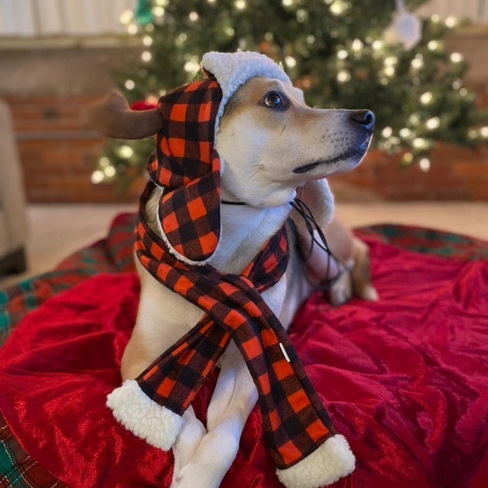 Buffalo Check Trapper Hat With Snugfit