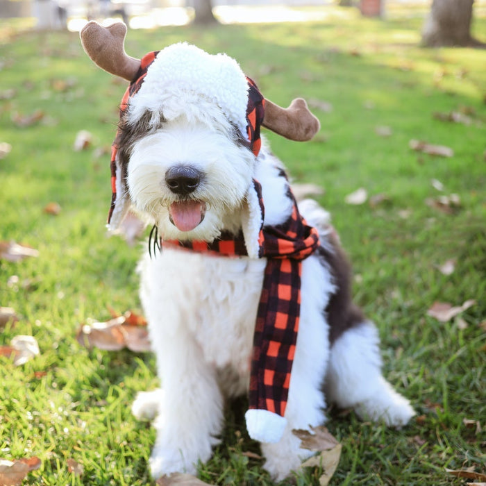 Buffalo Check Trapper Hat With Snugfit