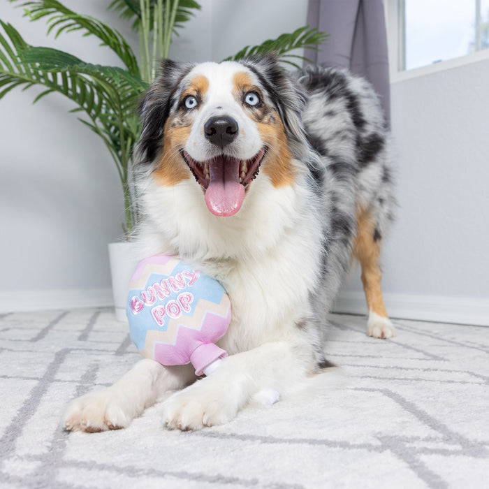 Dog with a pastel plush toy indoors featuring Bunny Pop.