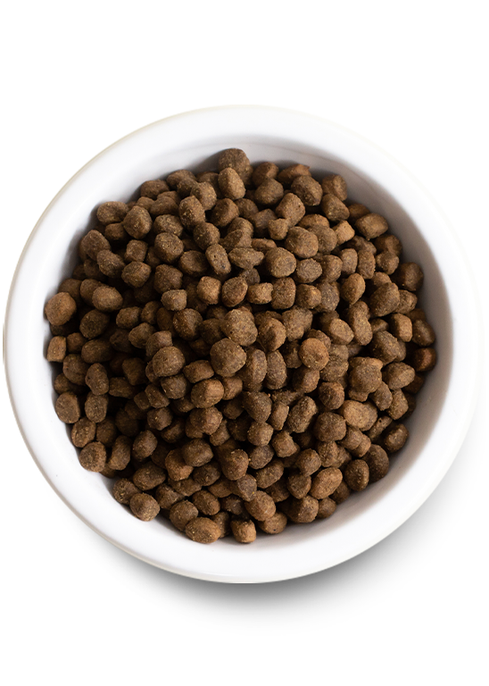 Catch-Of-The-Season Whitefish Grain Free Dog Food