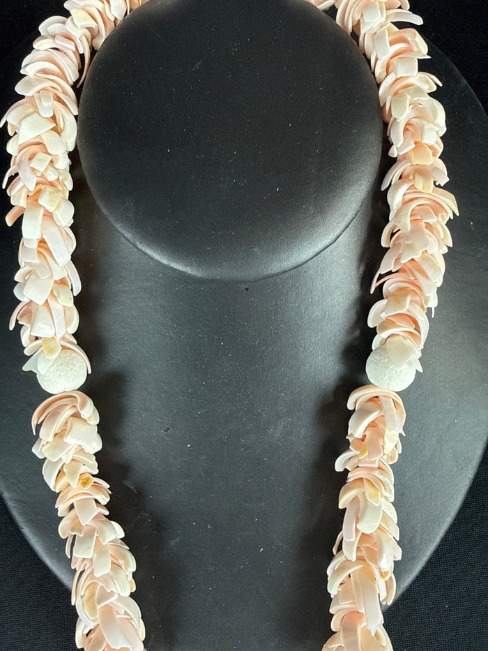 Conch Shell Slice Necklace