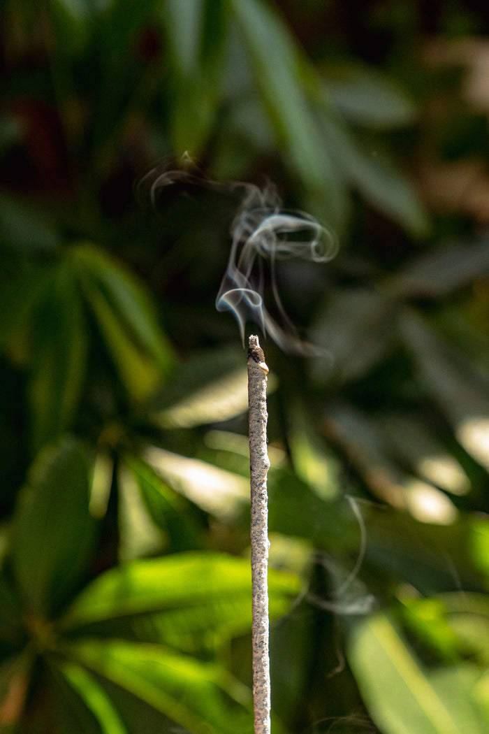 Small stick with smoke or fibers against a blurred green leafy background