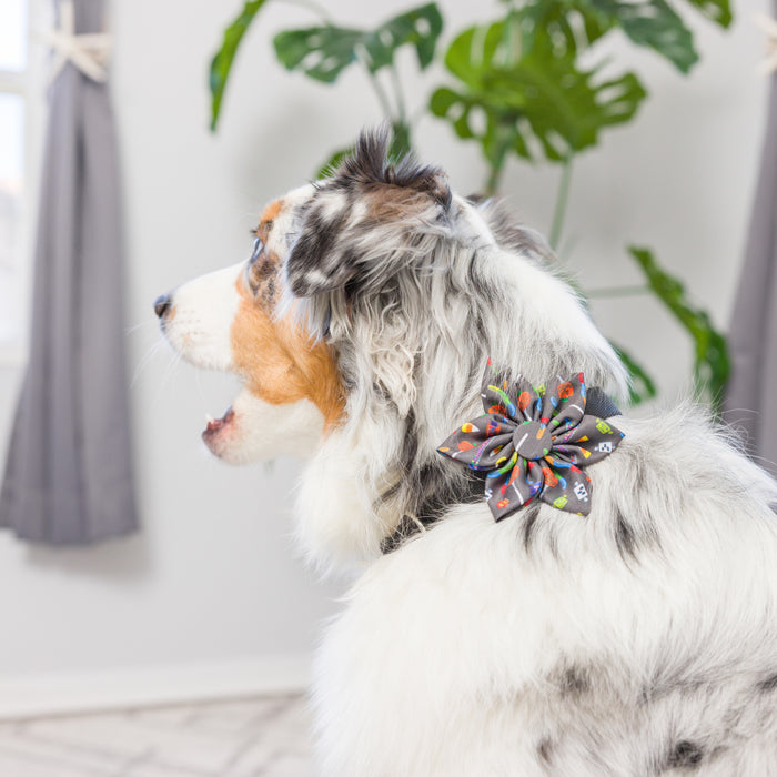 Dog wearing a creepy candy pinwheel accessory.