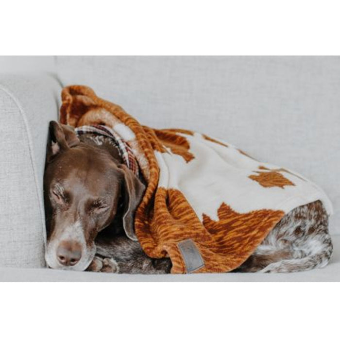 DISC - Tall Tails Cowhide Print Blanket