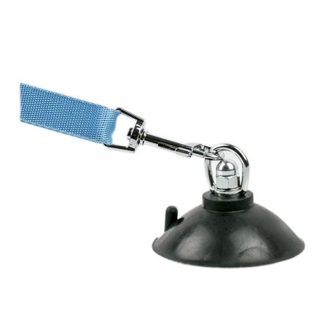 Dog Bath Leash with Suction Cup