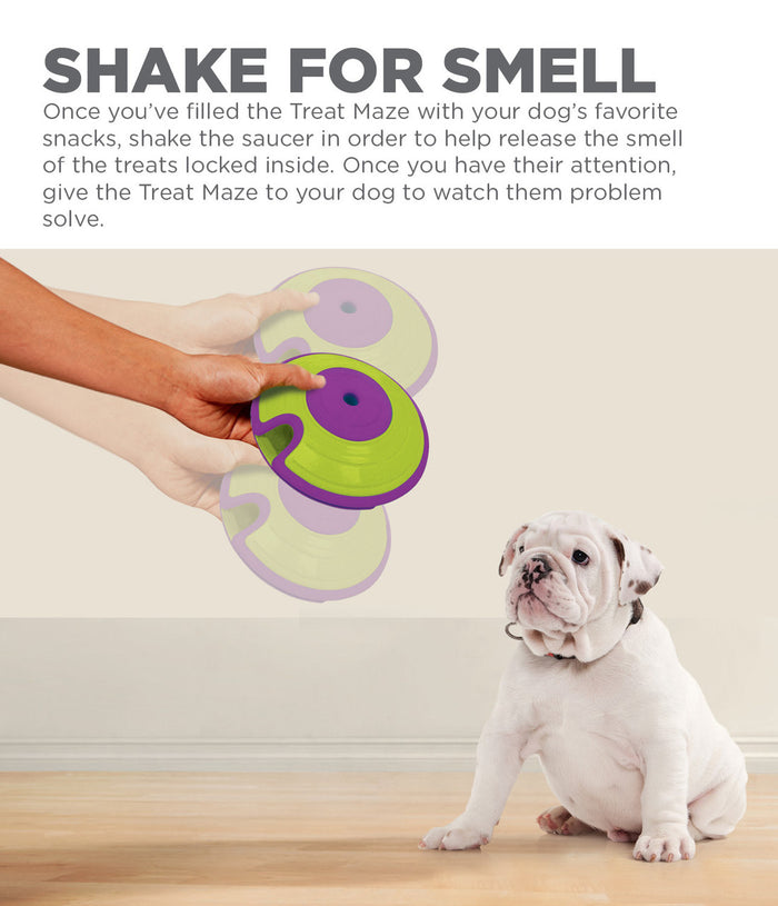Dog Treat Maze
