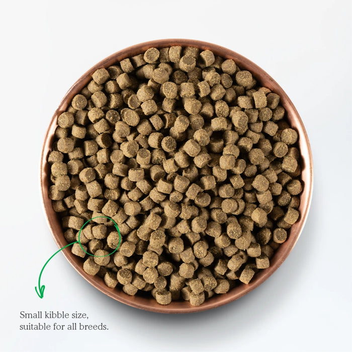 Farmer's Table Pork Grain Free Dog Food
