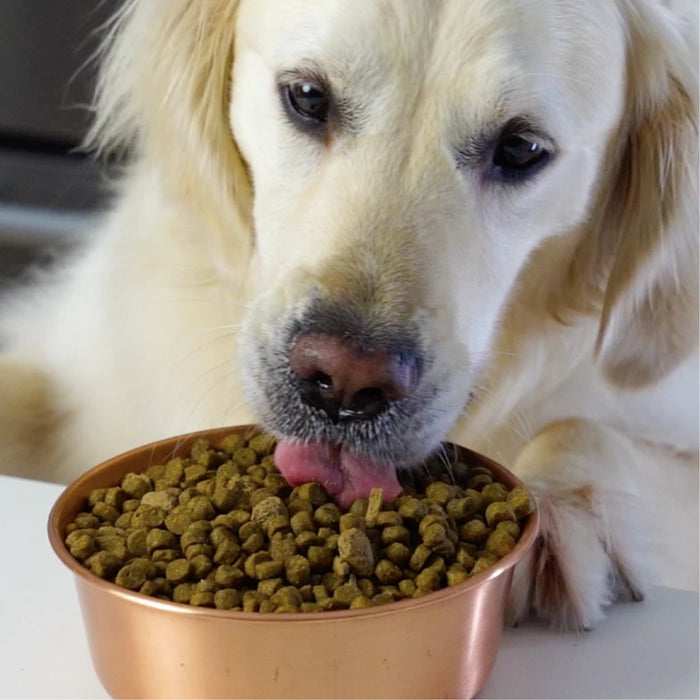 Farmer's Table Pork Grain Free Dog Food