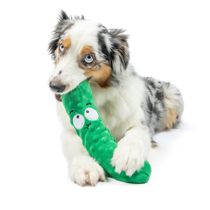 Dog with Fetchies® Dell Pickle indoors.