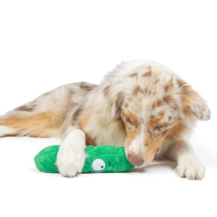 Fetchies® Dell Pickle