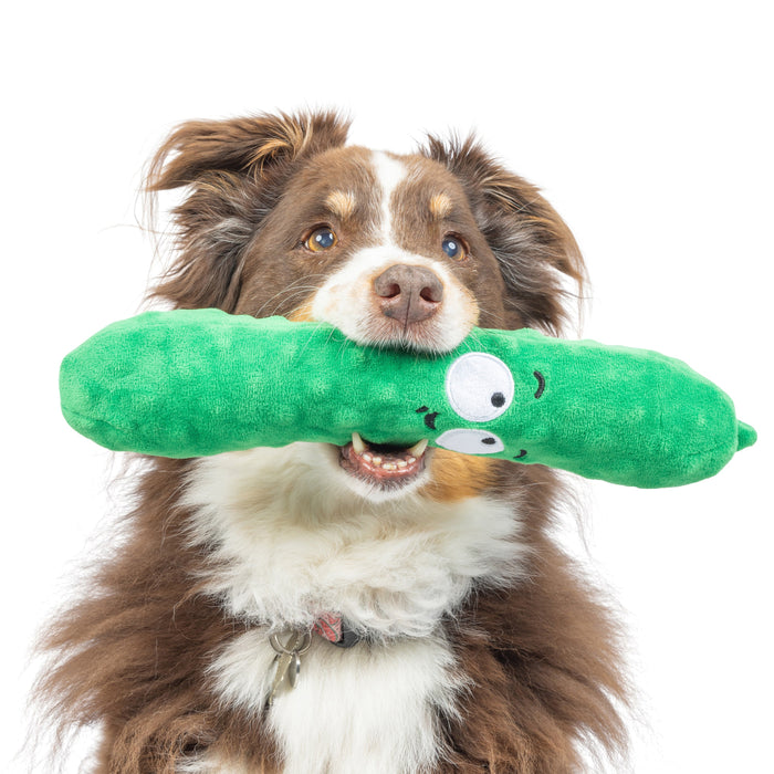 Fetchies® Dell Pickle
