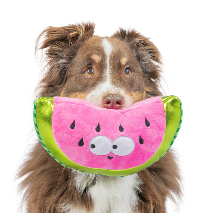 Fetchies® Walter Melon
