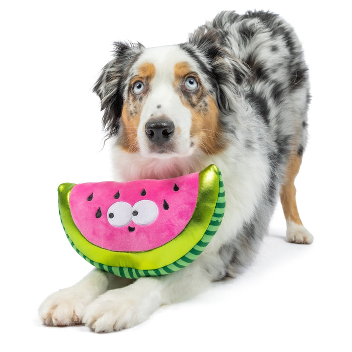 Dog with Fetchies® Walter Melon on a white background.