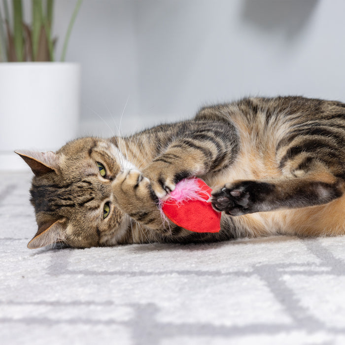 First Lick Heart & Be Mine Coffee 2pk Cat Toy