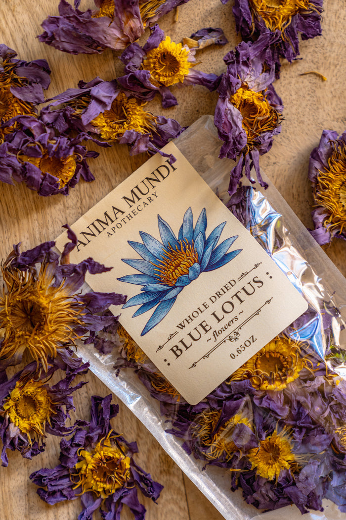 Box of whole dried blue lotus flowers with Anima Mundi Apothecary label on a wooden surface with dried flowers.