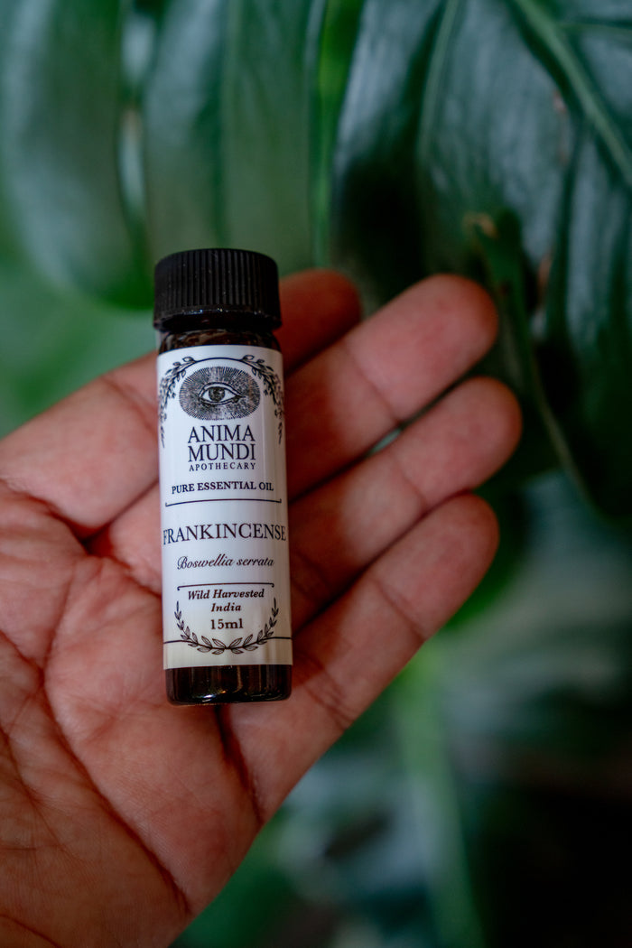 Small bottle of Anima Mundi Frankincense essential oil held in a hand with a blurred green leafy background