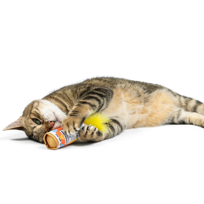Cat with Fuzzy Soft Seltzer Cat Toy.