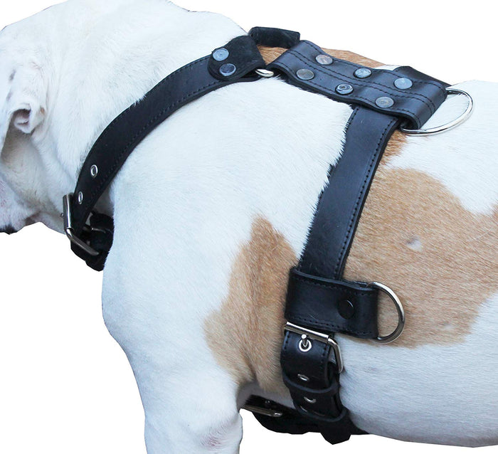 Genuine Leather Dog Harness Large 28"-35" Chest, 1.3" Wide Adjustable Straps
