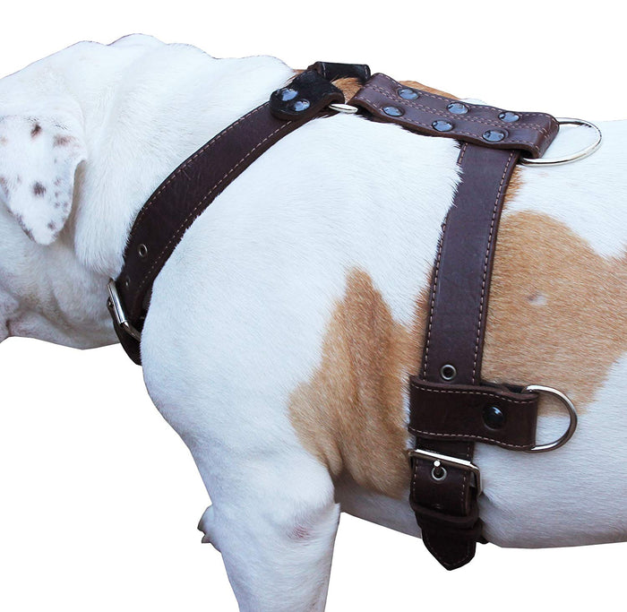 Genuine Leather Dog Harness Large 28"-35" Chest, 1.3" Wide Adjustable Straps